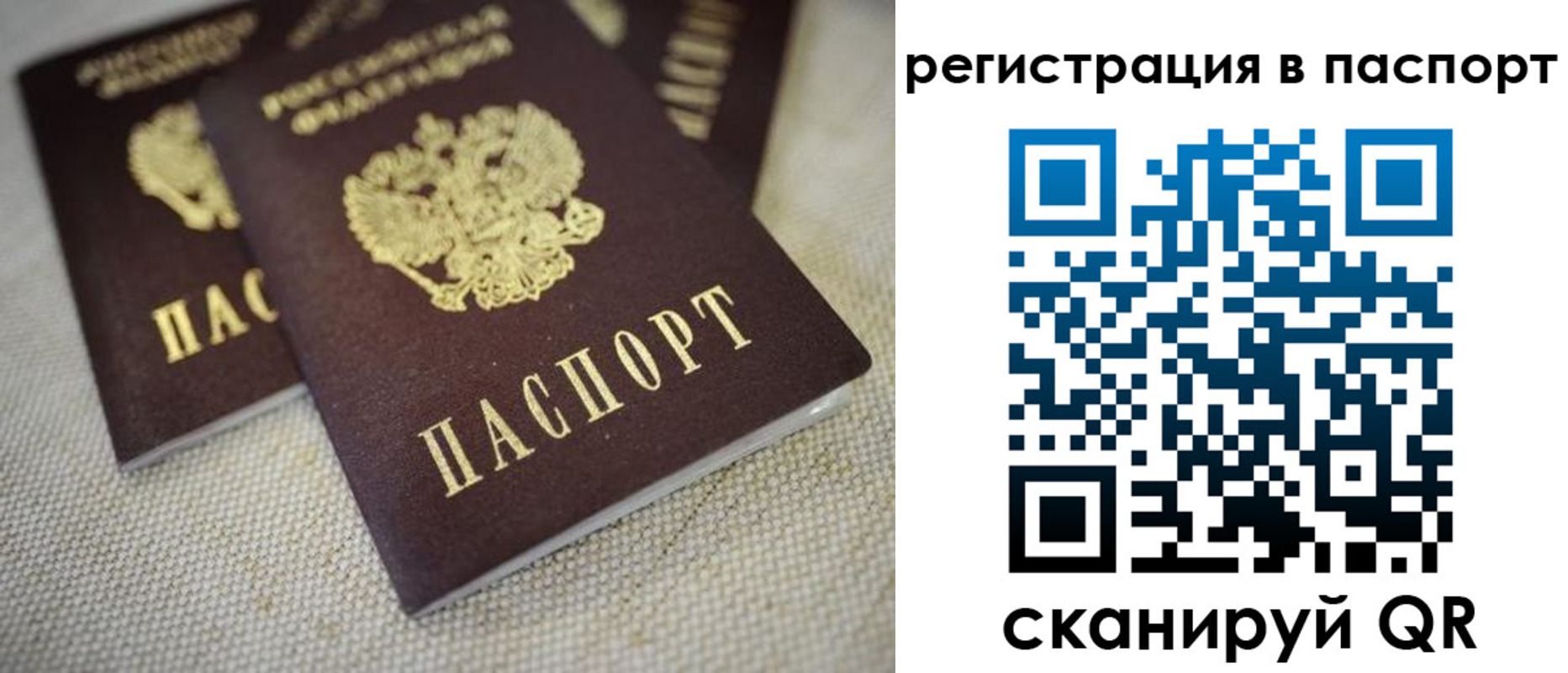 прописка гарантия в Сосновке